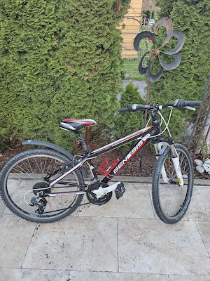 Mountainbike Kinder Genesis