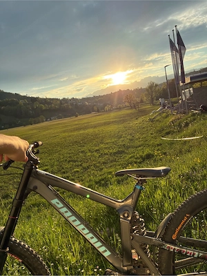 Propain downhill Bild 2