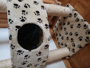 grosser Katzenbaum Bild 4