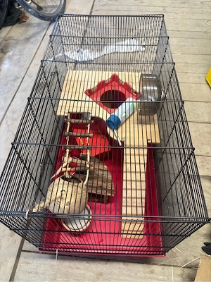 Hamsterkäfig Bild 3