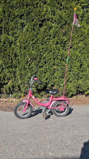 Puky 12 Zoll Kinderfahrrad Mädchenfahrrad Bild 2