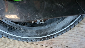 Bulls tokee xc 12 Zoll Kinderfahrrad Bild 3