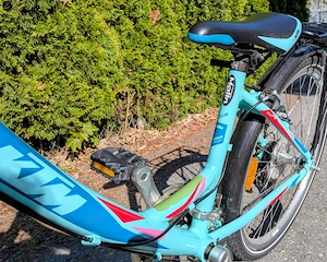 KTM Wild Cat 24 Zoll Jugendfahrrad Kinderfahrrad Bild 3