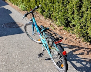 KTM Wild Cat 24 Zoll Jugendfahrrad Kinderfahrrad Bild 4