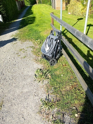 Hauck Rapid 4X Reisebuggy Bild 8