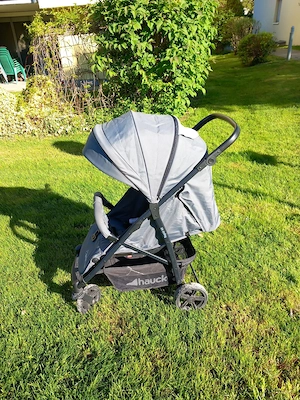 Hauck Rapid 4X Reisebuggy Bild 2