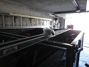 Garagentorantrieb Ansonic Pro Tor E 700 Bild 4