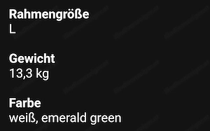 Mountainbike (Marke Skoda) Bild 3