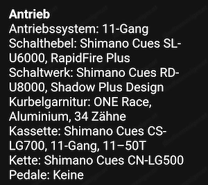 Mountainbike (Marke Skoda) Bild 5