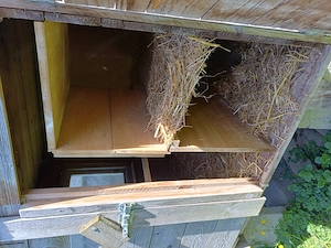 Hühner- bzw Hasenstall Bild 6