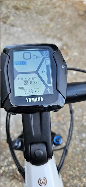 E-Bike WINORA Yucatan 12 pro Tiefeinstieg (wie neu) Bild 5