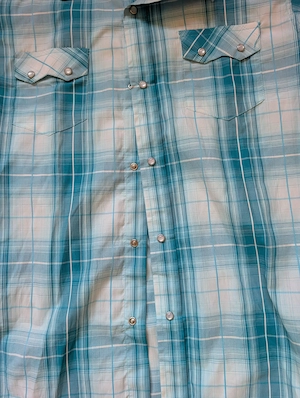 Must have! Außergewöhnliche Westernbluse XL Bild 5