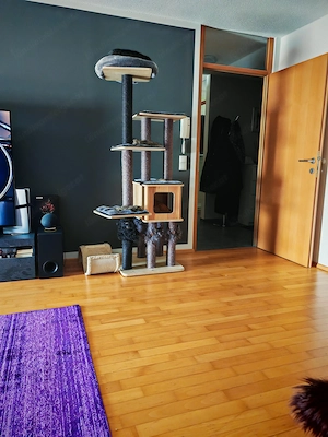 Kratzbaum Vollholz  Bild 2