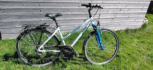 "Bio"-Fahrräder...ohne Antrieb Bild 2