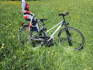 Damenrad 28 Zoll 24 Gänge Bild 2