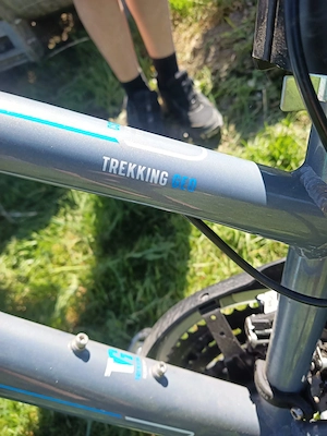 Damenrad 28 Zoll 24 Gänge