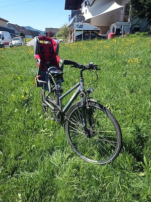 Damenrad 28 Zoll 24 Gänge Bild 3