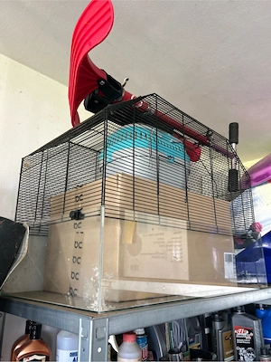 Hamster Kleintier Käfig Bild 2