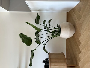 Verkauf Möbel, Wohnungsauflösung Bild 6