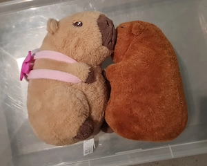Capybara 2 Stück Kuscheltiere Bild 3