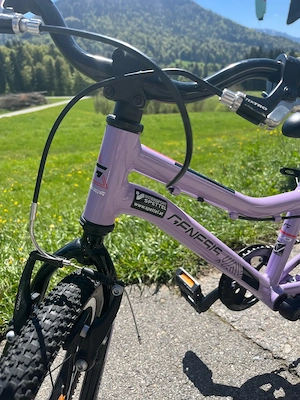 Genesis  Kinderfahrrad 16 Zoll Bild 2