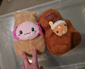 Capybara 2 Stück Kuscheltiere Bild 2