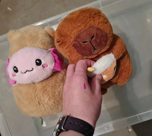 Capybara 2 Stück Kuscheltiere Bild 4