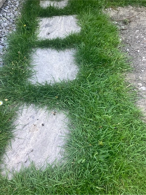 verschiedene Steinplatten Bild 2