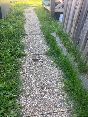 verschiedene Steinplatten Bild 3