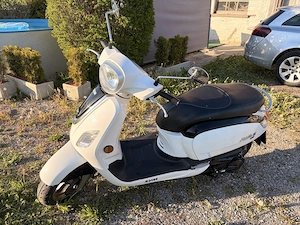 125er Fiddle Roller in bestem Zustand und neu vorgeführt. Bild 5