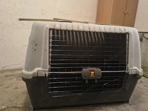 Box für Hunde 110 100cm Bild 4