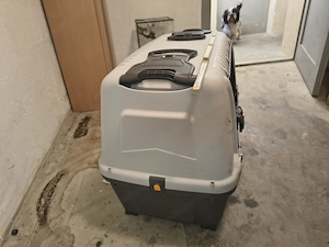 Box für Hunde 110 100cm Bild 5