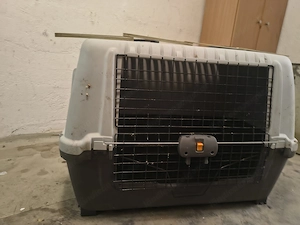 Box für Hunde 110 100cm Bild 3