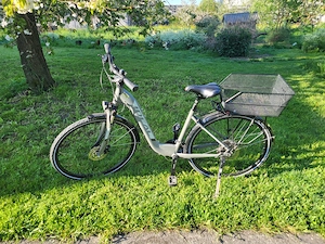 Trekking Fahrrad Ideal Ezigo Bild 3