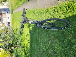 Trekking Fahrrad Ideal Ezigo Bild 4