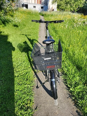 Trekking Fahrrad Ideal Ezigo Bild 2
