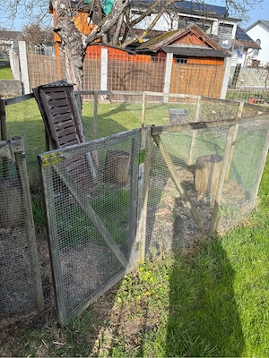 Meerschweinchen  Hasestall  Bild 4