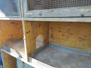 Hasenstall - Meerschweinchenstall -2 m lang, 5 Boxen auf 2 Etagen  Bild 2