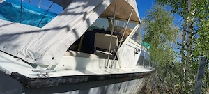 Motorboot  Kajütboot Schulze Bild 3