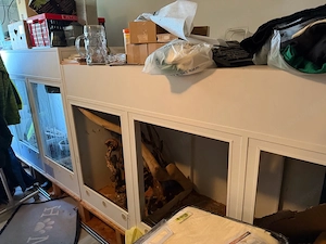 terarien verschieben  Bild 2