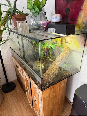 terarien verschieben  Bild 4