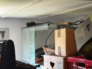 terarien verschieben  Bild 3