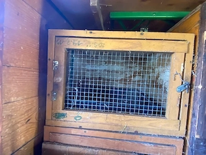 Diverse Hasenställe teilweise inklusive Wannen Bild 5