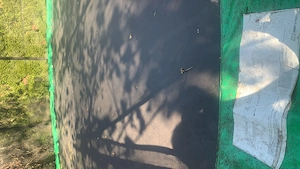 Trampolin 5 m Dirchmesser Bild 3