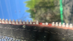 Trampolin 5 m Dirchmesser Bild 2