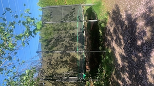 Trampolin 5 m Dirchmesser