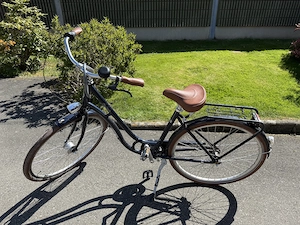 Lovpet Hundebuggy 3 Jahre alt, zu verkaufen Bild 2