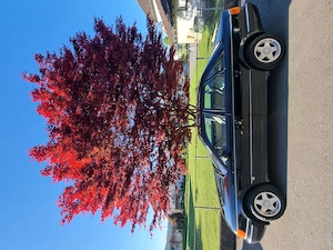 AUDI 100 2,3 in gutem Zustand Bild 8