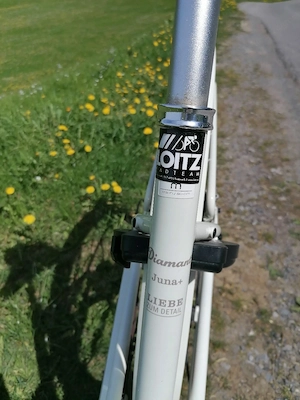 Damen eBike Diamant Juna + Bild 3