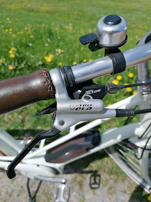 Damen eBike Diamant Juna + Bild 4